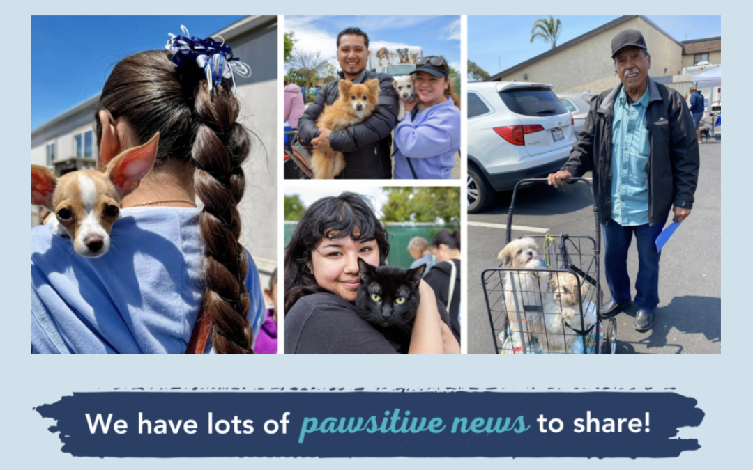 July 2024 E-newsletter